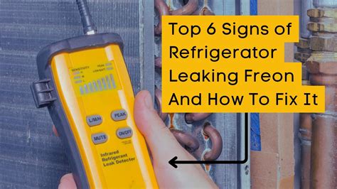 does a freon leak smell|Five Signs Your Refrigerator Is Leaking Freon: A。